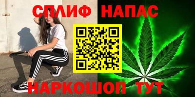 mdpv Кандалакша