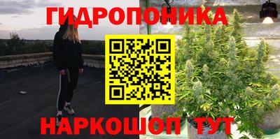 винт Канаш
