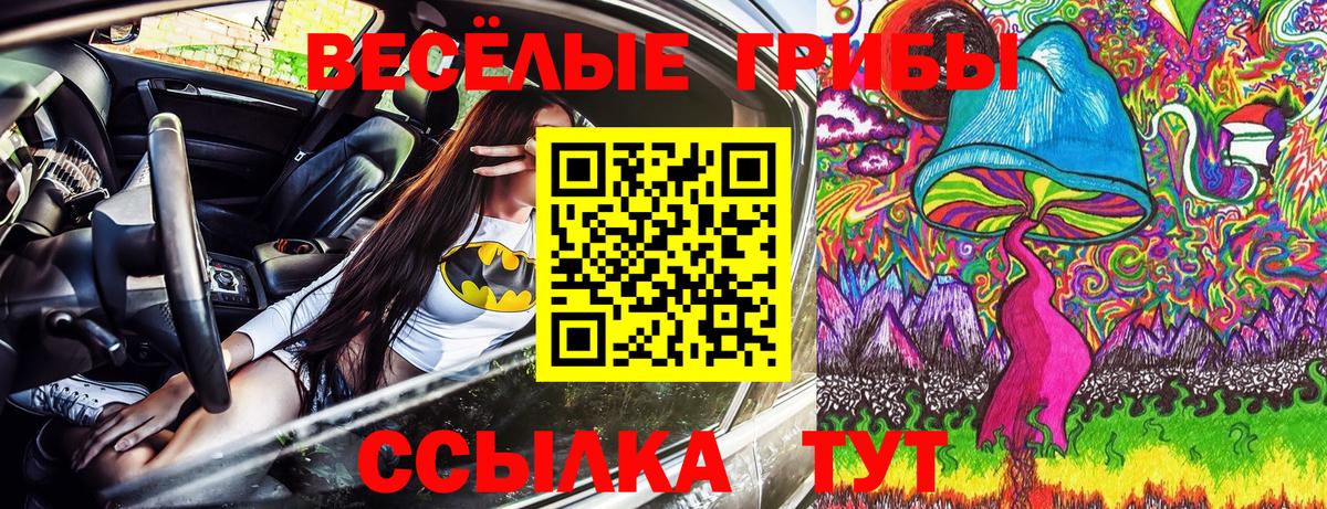 Псилоцибиновые грибы Psilocybine cubensis Дальнегорск